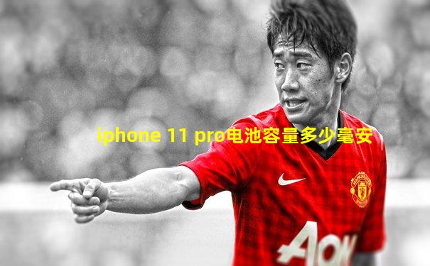 iphone 11 pro电池容量多少毫安